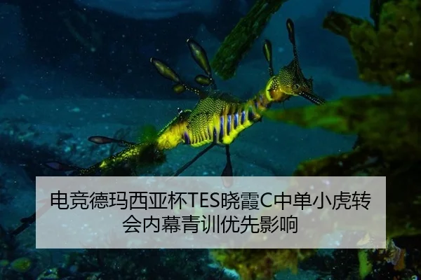 dian-jing-de-ma-xi-ya-bei-xiao-xia-zhong-dan-xiao-hu-zhuan-hui-nei-mu-qing-xun-you-xian-ying-xiang-3-942.jpg
